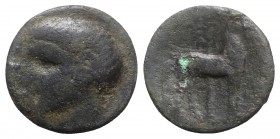 Spain, Carthago Nova, after 209 BC. Æ Unit (22mm, 10.98g, 12h). Bare-head l. R/ Horse standing r.; palm tree behind. CNH 69; SNG BM Spain 127-128. Fin...