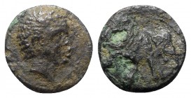 Etruria, Uncertain inland mint, c. 300-250 BC. Æ (18mm, 3.88g, 6h). African head r. R/ Elephant standing r. HNItaly 69; Sambon 145; BMC 61. Metal flaw...