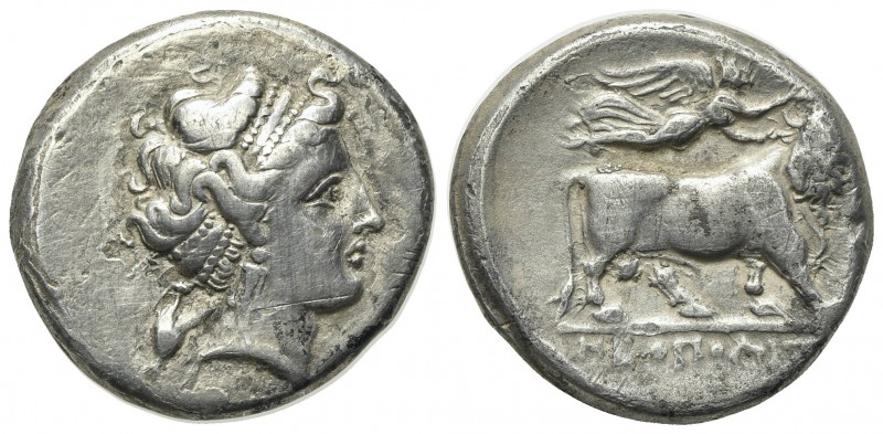 Southern Campania, Neapolis, c. 300-275 BC. AR Didrachm (20mm, 6.93g, 12h). Head...