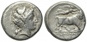 Southern Campania, Neapolis, c. 300-275 BC. AR Didrachm (20mm, 6.93g, 12h). Head of nymph r.; amphora to l. R/ Man-headed bull advancing r., head faci...