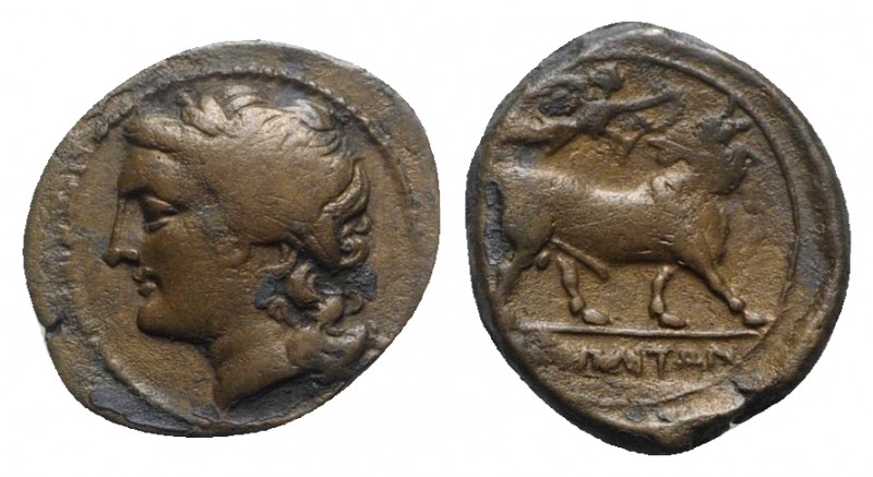 Southern Campania, Neapolis, c. 250-225 BC. Æ (16mm, 2.71g, 10h). Laureate head ...