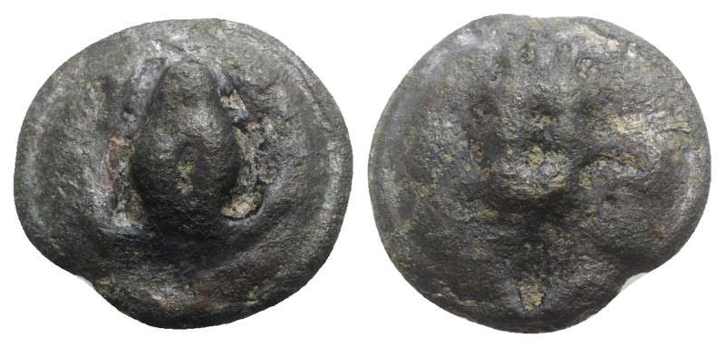 Northern Apulia, Luceria, c. 217-212 BC. Cast Æ Uncia (22mm, 12.87g, 12h). Frog....