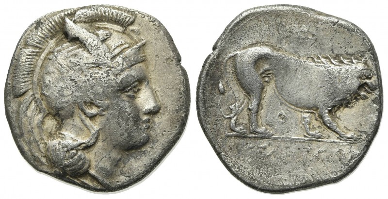 Northern Lucania, Velia, c. 340-334 BC. AR Didrachm (23mm, 7.18g, 2h). Head of A...