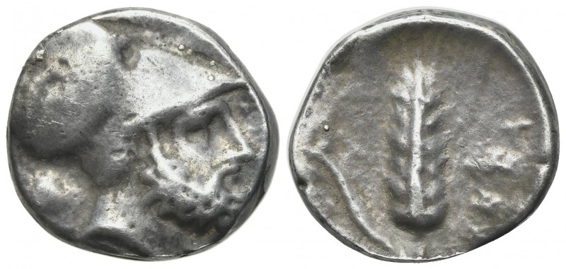 Southern Lucania, Metapontion, c. 340-330 BC. AR Stater (17mm, 5.21g, 12h). Helm...