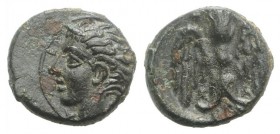 Sicily, Katane, c. 339-300 BC. Æ Onkia (8mm, 0.80g, 6h). Head of the river god Amenanos l. R/ Winged thunderbolt. CNS III, 2; HGC 2, 608. Green patina...