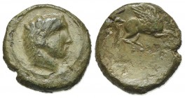 Sicily, Kephaloidion, c. 339/8-307 BC. Æ (14mm, 2.31g, 1h). Head of Herakles r., wearing lion skin. R/ Pegasos flying r. Campana 6a; CNS I, 3; SNG ANS...