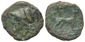 Sicily, Messana, The Mamertinoi, 264-241 BC. Æ Unit (19mm, 4.13g, 5h). Helmeted head of Adranos l. R/ Hound standing r. CNS I, 20; SNG ANS 418-9; HGC ...