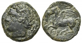 Sicily, Panormos as Ziz, c. 336-330 BC. Æ (14mm, 1.97g, 12h). Laureate head of Apollo l.; dolphin behind. R/ Pegasos flying l. CNS I, 8; SNG ANS 555; ...