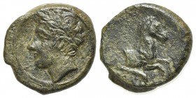 Sicily, Panormos as Ziz, c. 336-330 BC. Æ (13.5mm, 2.42g, 7h). Laureate head of Apollo l. R/ Forepart of horse r.; dolphin below. CNS I, 12; SNG ANS -...