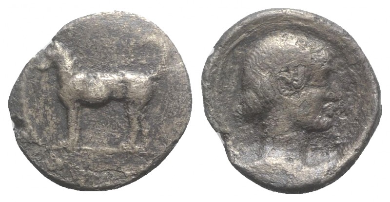 Sicily, Segesta, c. 455/0-445/0 BC. AR Didrachm (23mm, 8.18g, 6h). Hound standin...