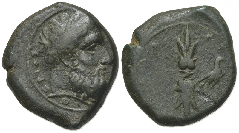 Sicily, Syracuse, c. 339/8-334 BC. Æ Hemidrachm (25mm, 12.54g, 6h). Laureate hea...