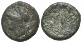 Sicily, Syracuse. Pyrrhos (278-276 BC). Æ (18.5mm, 6.11g, 9h). Head of Athena l., wearing Corinthian helmet; owl behind. R/ Grain ear within wreath. C...