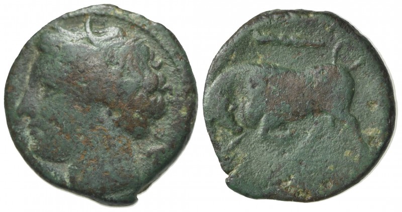 Sicily, Syracuse. Hieron II (275-215 BC). Æ (20mm, 5.41g, 11h), c. 275-269 BC. W...