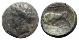 Sicily, Syracuse. Hieron II (275-215 BC). Æ (20mm, 5.52g, 3h), c. 275-269 BC. Wreathed head of Kore l. R/ Bull butting l.; club and T above; IE in exe...