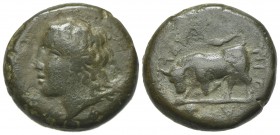 Sicily, Tauromenion, c. 357-305 BC. Æ (18mm, 6.79g, 6h). Laureate head of Apollo Archagetas l. R/ Bull butting l. Campana 3a; CNS III, 2; SNG ANS 1109...