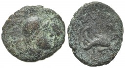 Sicily, Tyndaris, c. 44-36 BC. Æ (21mm, 6.18g, 3h). M. Vipsanius Athenaeus and C. Julius Dionysius, duo viri. Jugate heads of Dioscuri r. R/ Dolphin r...