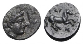 Troas, Gargara, 4th century BC. Æ (8.5mm, 0.70g, 9h). Laureate head of Apollo r. R/ Horse running r.; grapes below. SNG Ashmolean 1136. Obv. off-centr...