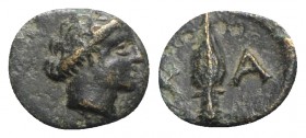 Lesbos, Chalke, 4th century BC. Æ (8mm, 0.51g, 6h). Head of Artemis r., wearing stephane. R/ Spearhead. SNG von Aulock 8736-7; BMC 1-4; HGC 6, 1282. G...