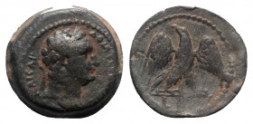 Domitian (81-96). Egypt, Alexandria. Æ Obol (18.5mm, 4.70g, 12h), year 12 ? (AD 92/3). Laureate head r. R/ Eagle standing facing, wings open, head l. ...