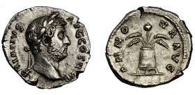 ADRIANO. Denario. Roma (137-138). R/ Modio con espigas y amapola; ANNONA AVG. AR 2,90 g. 17,5 mm. RIC-2316. Cospel abierto. EBC.