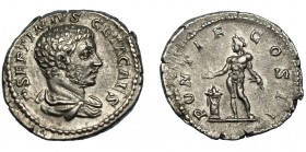 GETA. Denario. Roma (209). R/ Genio desnudo a izq. con espigas y patera delante de altar; PONTIF COS II. AR 3,32 g. 18,9 mm. RIC-59A. MBC+.