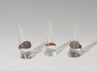 ROMA y EDAD MODERNA. Lote de tres anillos (I a.C.-I d.C., III-IV d.C. y XVII-XVIII). Plata y cobre dorado. Con representación de delfín a la izquierda...