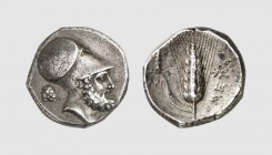 Lucania. Metapontum. 340-330 BC. AR Nomos (7.86g, 9h). Johnston B2.24; Tradart 2.17 (this coin). Lightly toned. Good very fine. From a private collect...