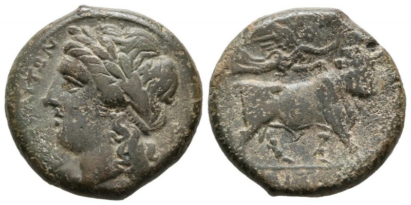 CAMPANIA, Cales. Be20. (Ae. 5.39g \/ 20mm). 265-240 BC (SNG Copenhagen 321). F.