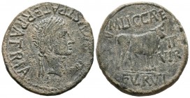 CALAGURRIS (Calahorra, La Rioja). As. (Ae. 12.33g \/ 29mm). 27 BC-AD 14 Anv: Laureate head of Augustus on the right, around: IMP. AVGVST. PATER. PATRI...