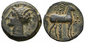 CARTAGONOVA (Cartagena, Murcia). 1\/2 Tracing. (Ae. 2.78g \/ 17mm). 220-215 BC Anv: Head of Tanit to the left. Rev: Horse standing to the right, behin...