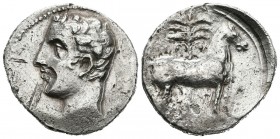 CARTAGONOVA (Cartagena, Murcia). Shekel. (Ar. 5.89g \/ 22mm). 220-205 BC Anv: Male head to the left. Rev: Horse standing to the right, under the horse...