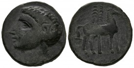 CARTAGONOVA (Cartagena, Murcia). Tracing. (Ae. 12.10g \/ 23mm). 220-205 BC Anv: Male head to the left. Rev: Horse standing to the right, behind palm t...