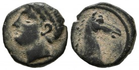CARTAGONOVA (Cartagena, Murcia). 1\/4 Tracing. (Ae. 2.15g \/ 14mm). 220-205 BC Anv: Male head to the left. Rev: Horse head to the right. (FAB-554). F.