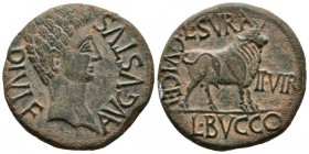 CELSE (Velilla del Ebro, Zaragoza). As. (Ae. 12.47g \/ 29mm). 27 BC-AD 14 Anv: Head of Augustus on the right, around: AVGVSTVS. DIVI. F. Rev: Bull sta...