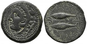 GADES (C\u00e1diz). As. (Ae. 12.36g \/ 27mm). 100-20 BC Anv: Head of Hercules to the left, behind nails. Rev: Two tunas on the left, Punic legend abov...
