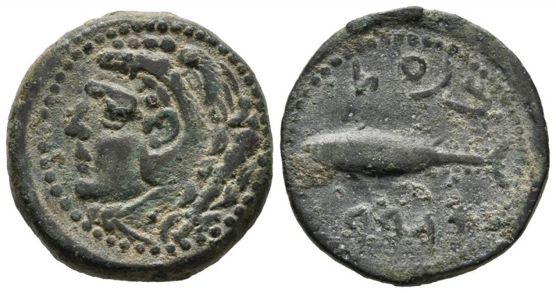 GADES (C\u00e1diz). Semis. (Ae. 6.85g \/ 20mm). 100-20 BC Anv: Head of Hercules ...