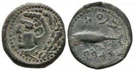 GADES (C\u00e1diz). Semis. (Ae. 6.85g \/ 20mm). 100-20 BC Anv: Head of Hercules to the left, behind nails. Rev: Tuna on the left, above and below Puni...