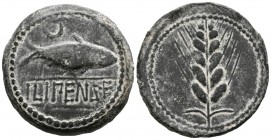 ILIPENSE (Alcal\u00e1 del R\u00edo, Seville). As. (Ae. 21.79g \/ 32mm). 120-20 BC Anv: Shad on the right, above crescent, below between two lines lege...