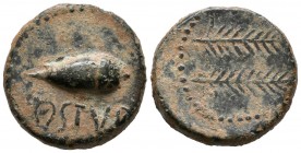 OSTUR (Carmona, Seville). Semis. (Ae. 10.52g \/ 22mm). 150-50 BC Anv: Acorn left, below legend: OSTVR. Rev: Two palms to the right. (FAB-1976). F.