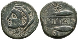 SEXI (Almu\u00f1\u00e9car, Granada). As. (Ae. 11.62g \/ 25mm). 200-20 BC Anv: Head of Melkart to the left, behind mace. Rev: Tuna and dolphin on the r...