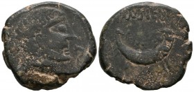 TAMUSIENS (Southwest area of the peninsula). As. (Ae. 29.64g \/ 34mm). 50 BC Anv: Male head to the right, in front of the dolphin, behind Iberian lett...