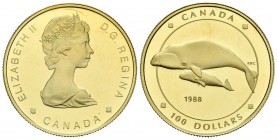CANADA. 100 Dollars (Au-Ar. 13.36g \/ 27mm). 1988. Whale and calf. (Km # 162). Proof. Includes certificate of authenticity and original box. Gold comp...
