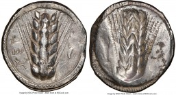 LUCANIA. Metapontum. Ca. 510-470 BC. AR stater (23mm, 7.64 gm, 12h). NGC Choice VF 4/5 - 4/5, overstruck. MET, barley ear of seven grains; lizard to r...