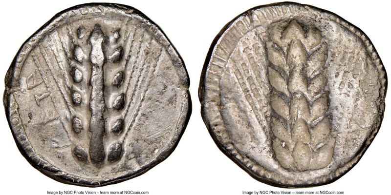 LUCANIA. Metapontum. Ca. 470-440 BC. AR stater (20mm, 7.46 gm, 6h). NGC VF 5/5 -...