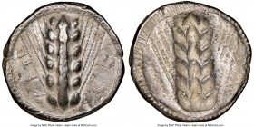 LUCANIA. Metapontum. Ca. 470-440 BC. AR stater (20mm, 7.46 gm, 6h). NGC VF 5/5 - 3/5. META, six-grained barley ear; dotted border on raised rim / Incu...