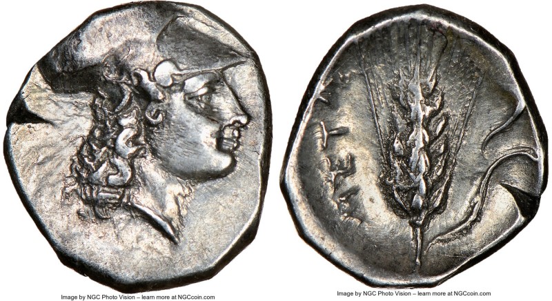 LUCANIA. Metapontum. Ca. 325-275 BC. AR diobol (12mm, 1.41 gm, 11h). NGC Choice ...