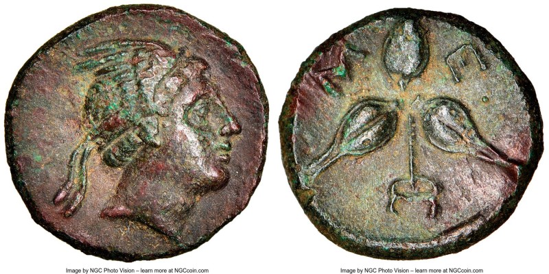 LUCANIA. Metapontum. Ca. 300-250 BC. AE (13mm, 2.10 gm, 7h). NGC AU 5/5 - 3/5, l...