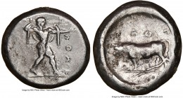 LUCANIA. Poseidonia. Ca. 470-420 BC. AR stater (19mm, 8h). NGC Choice Fine, brushed. ΠΟΣE, Poseidon striding right, nude but for chlamys spread across...