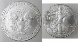 USA. Dollaro 2002. Oncia. Ag.