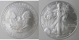 USA. Dollaro 2005. Oncia. Ag.
